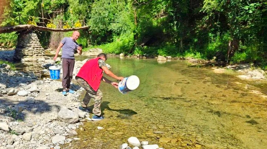 MLAĐ PASTRMKE PUŠTENA U JAKOTINU I CVRCKU