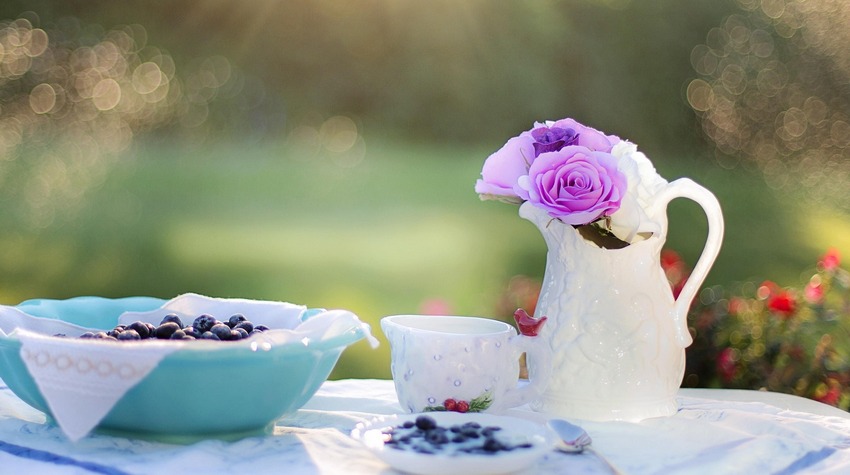 ŠTA STOGODIŠNJACI JEDU ZA DORUČAK?