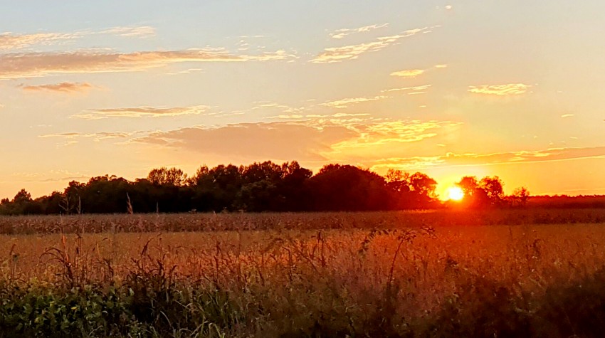 BRATUNAC POZIVA MLADE POLJOPRIVREDNIKE ZA UPIS U BAZU PODATAKA I PODRŠKU